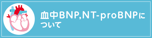 血中BNP,NT-proBNPについて