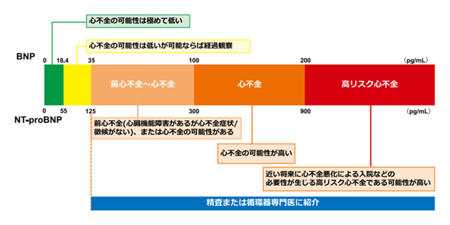 血中BNPやNT-proBNPを用いた心不全診療に関するステートメント2023年改訂版