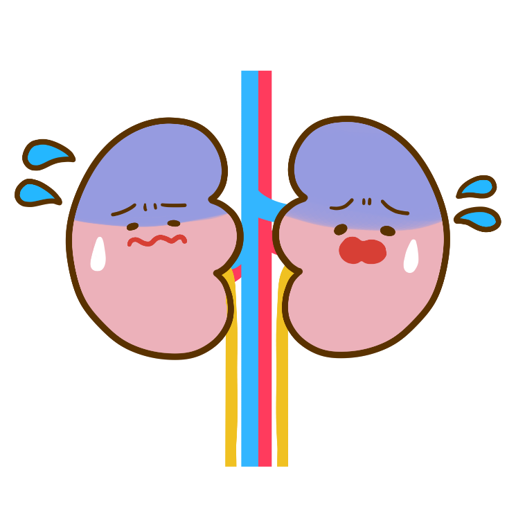 睡眠時無呼吸による慢性腎臓病への悪影響のイメージ画像
